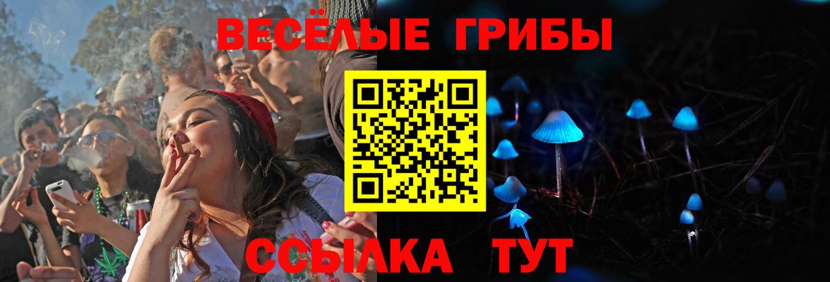 Галлюциногенные грибы GOLDEN TEACHER Южно-Сахалинск